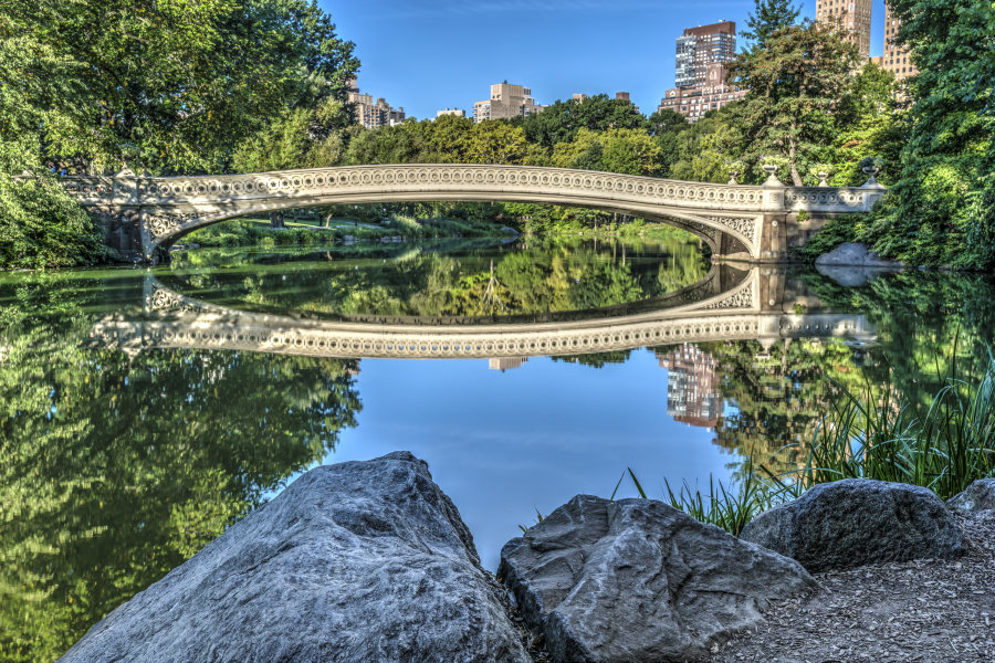 Central-Park-New-York-City