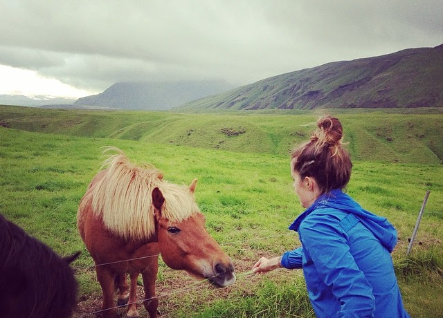 Hella-Icelandic-Horses