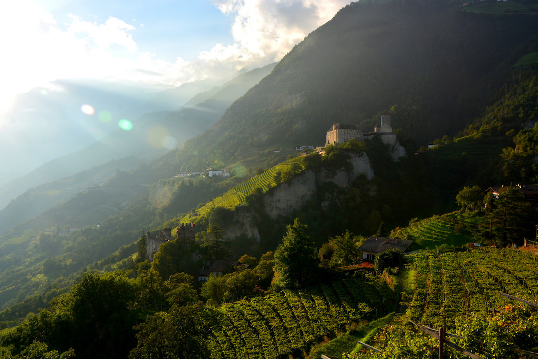 Italy-Wine-Region