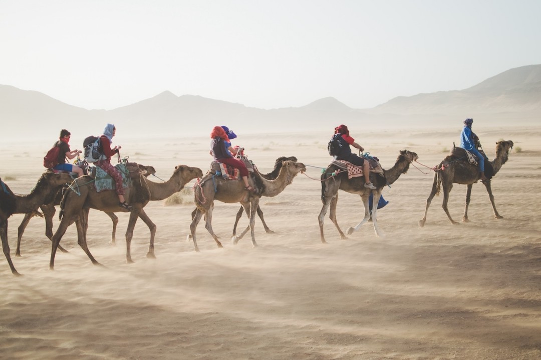 Group-Travel-Camel-Ride