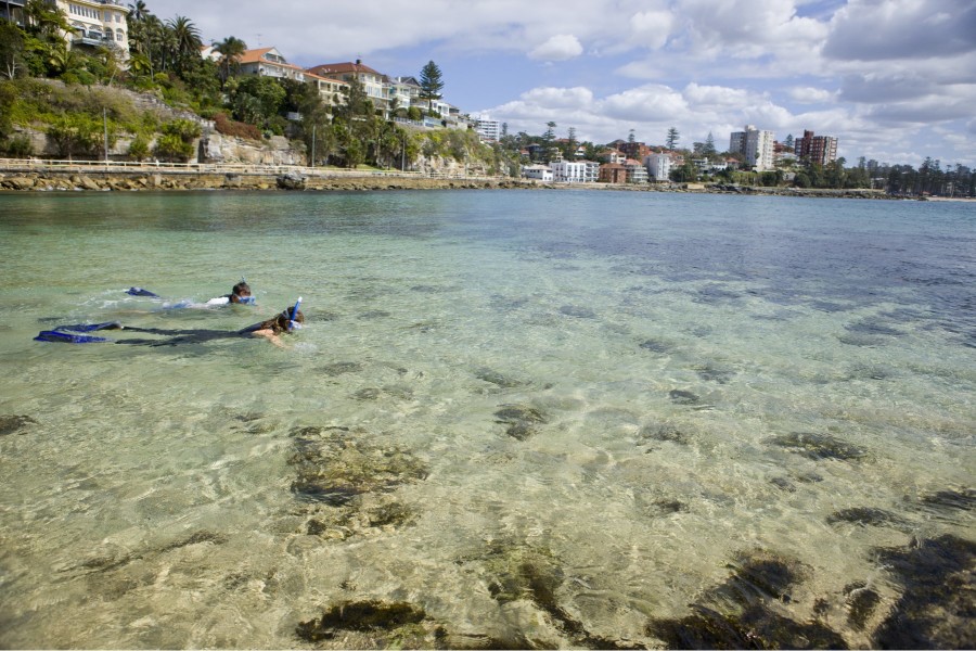 Shelly Beach