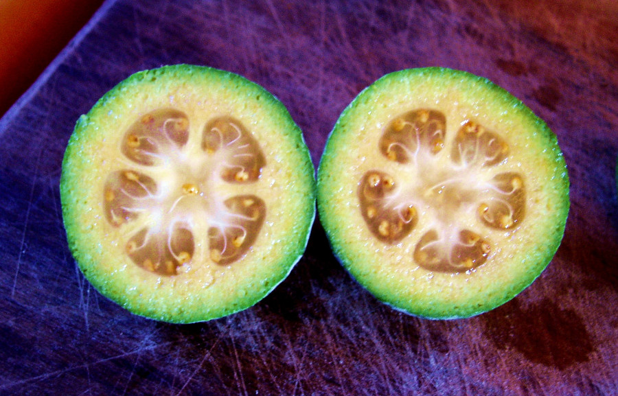 11 Totally Kiwi Foods to Try in New Zealand