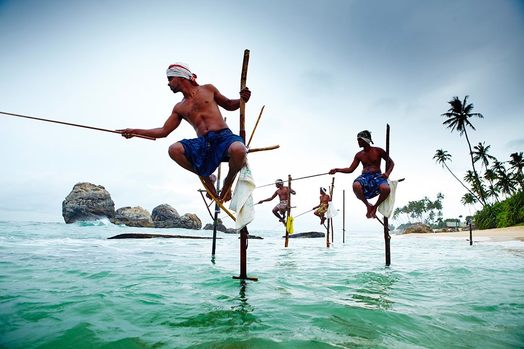 Stilt fishermen seek their daily catch in Sri Lanka. Photo by Matt Munro.