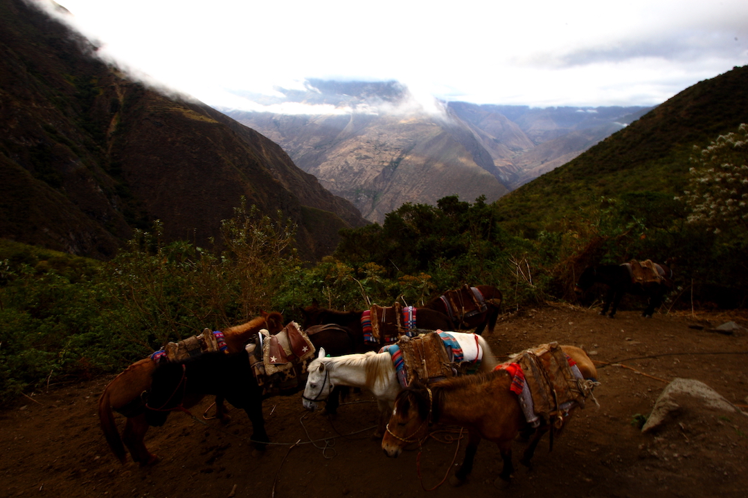 Choquequirao