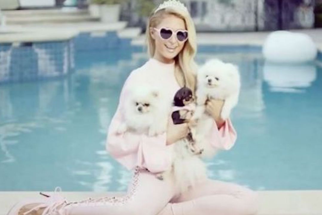 Paris-Hilton-dogs-vacation