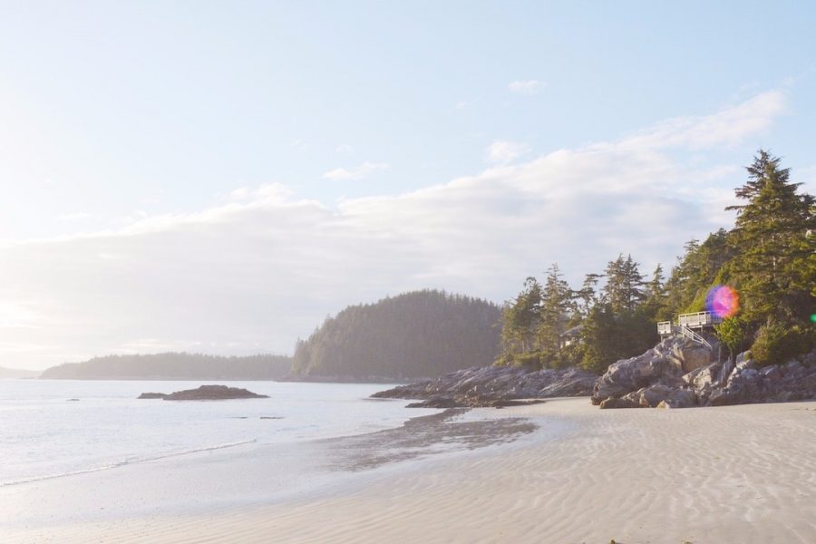 Tofino