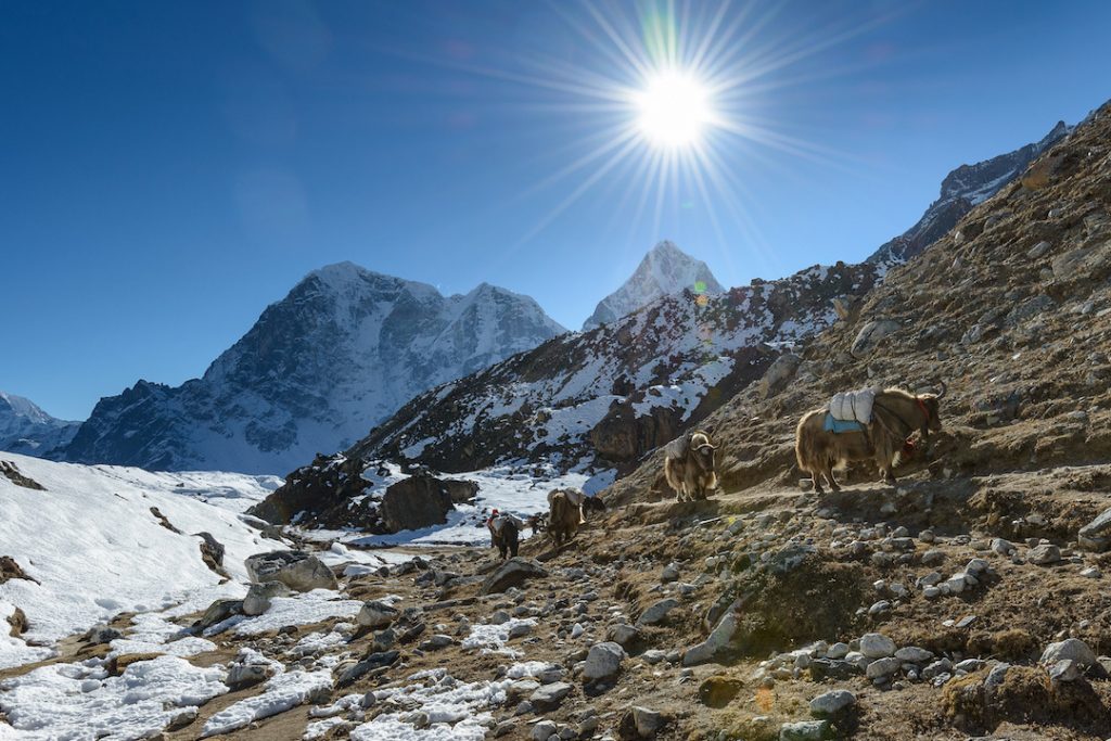 17 Reasons to Visit Nepal in 2021 - Days to Come