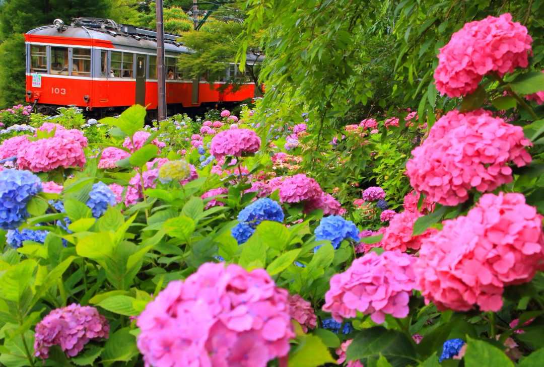 Hakone Railway