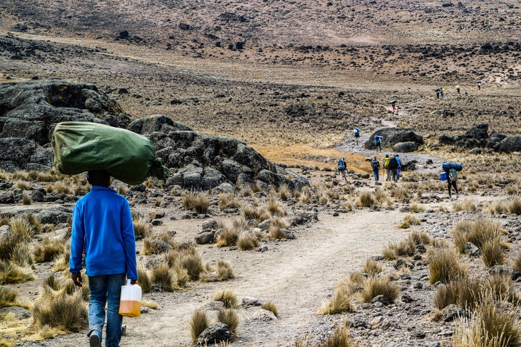 Porter carries a load along one of the routes to Kilimanjaro's summit