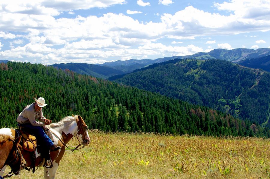 Brokeback Mountain