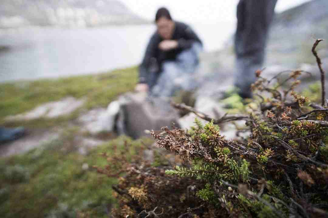 Campfire in Greenland