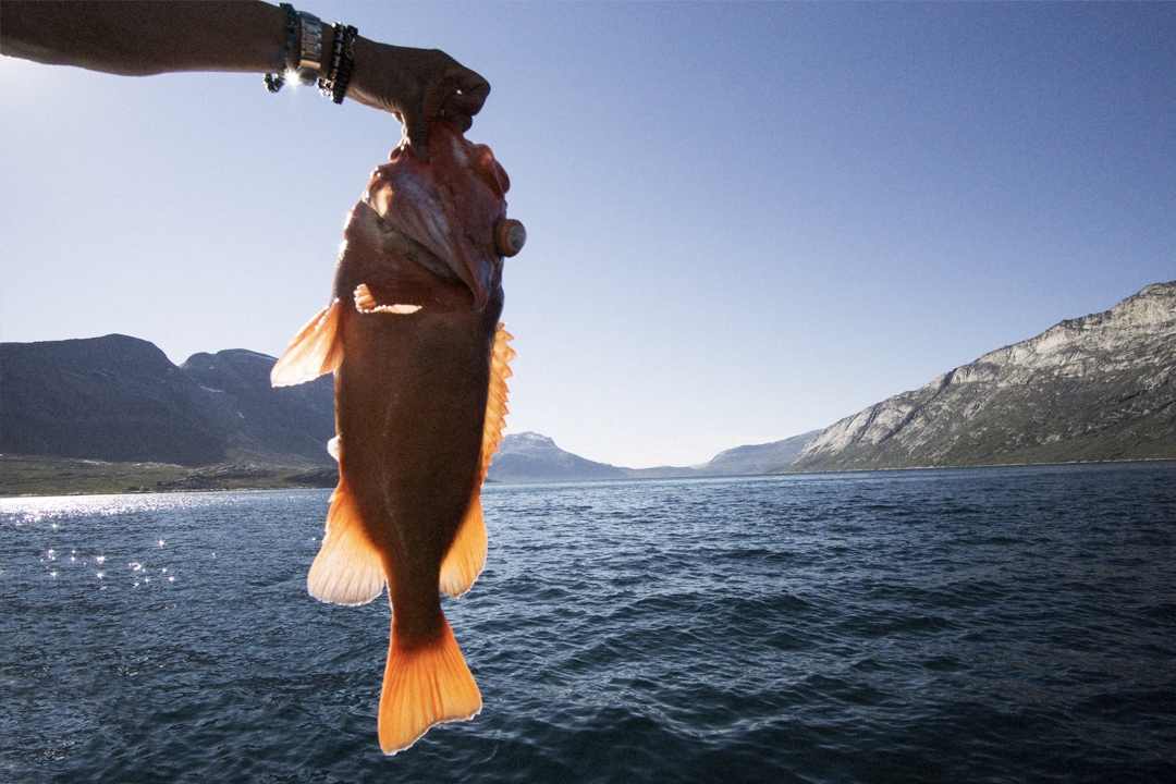 Fishing in Greenland