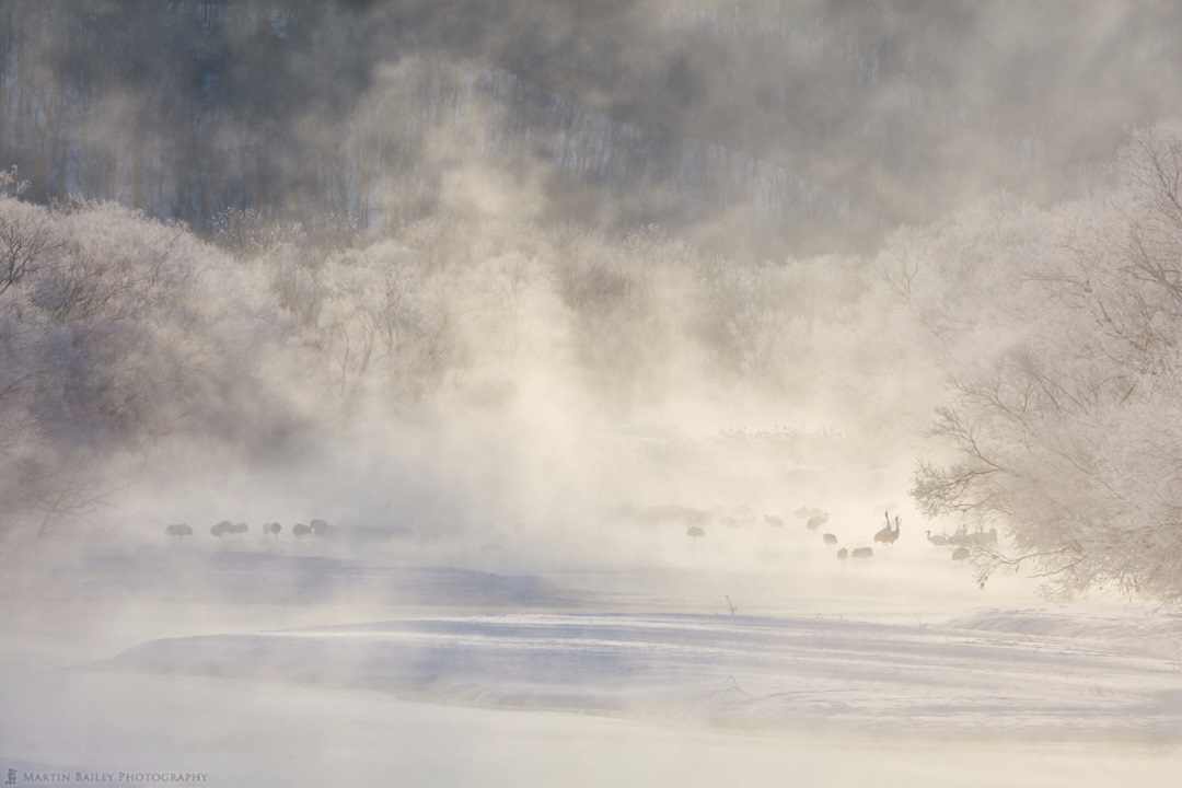 hokkaido