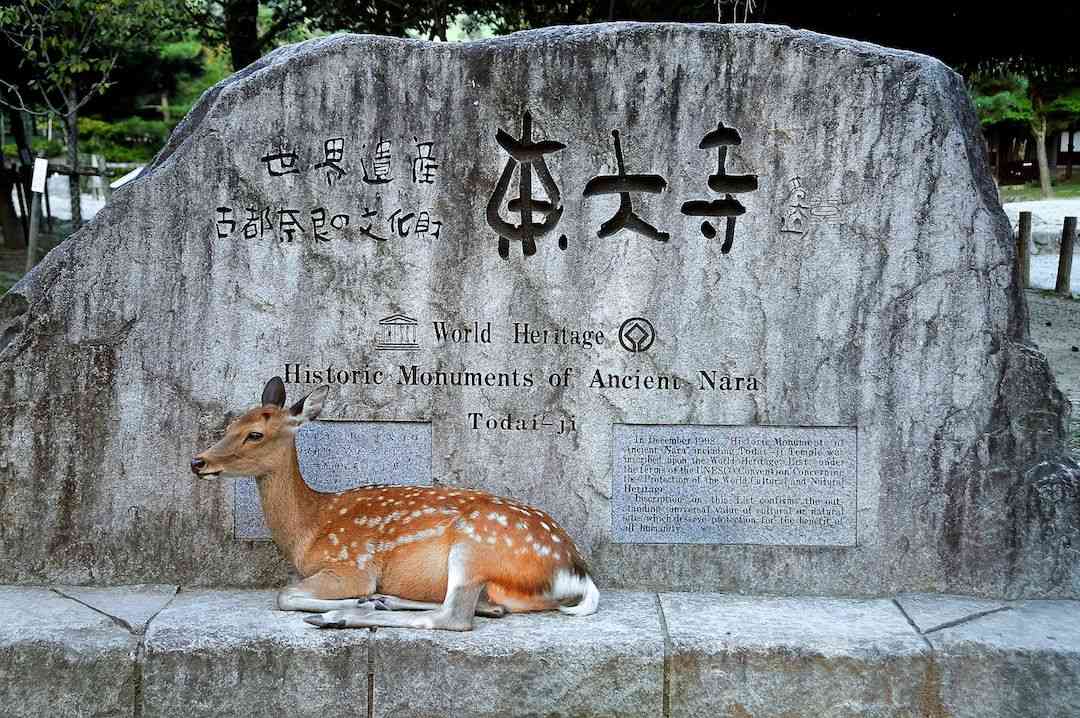 nara park