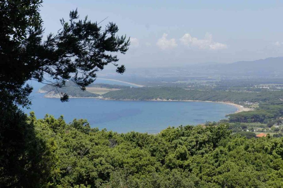 the coast of toscana