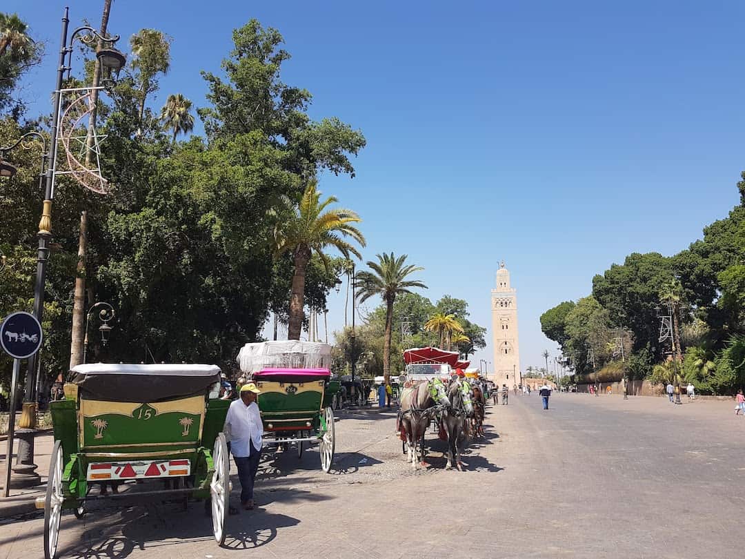 marrakech street