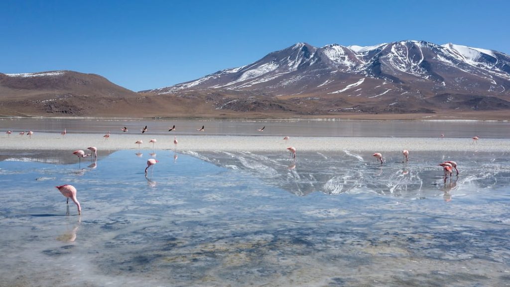 Salar de Uyuni, amid the Andes in southwest Bolivia, is the world’s largest salt flat