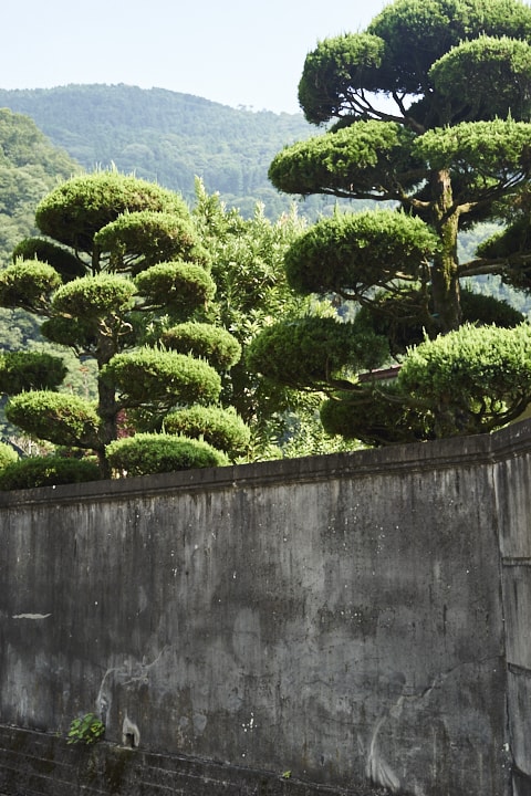 Where to Take the Best Photos of Japan