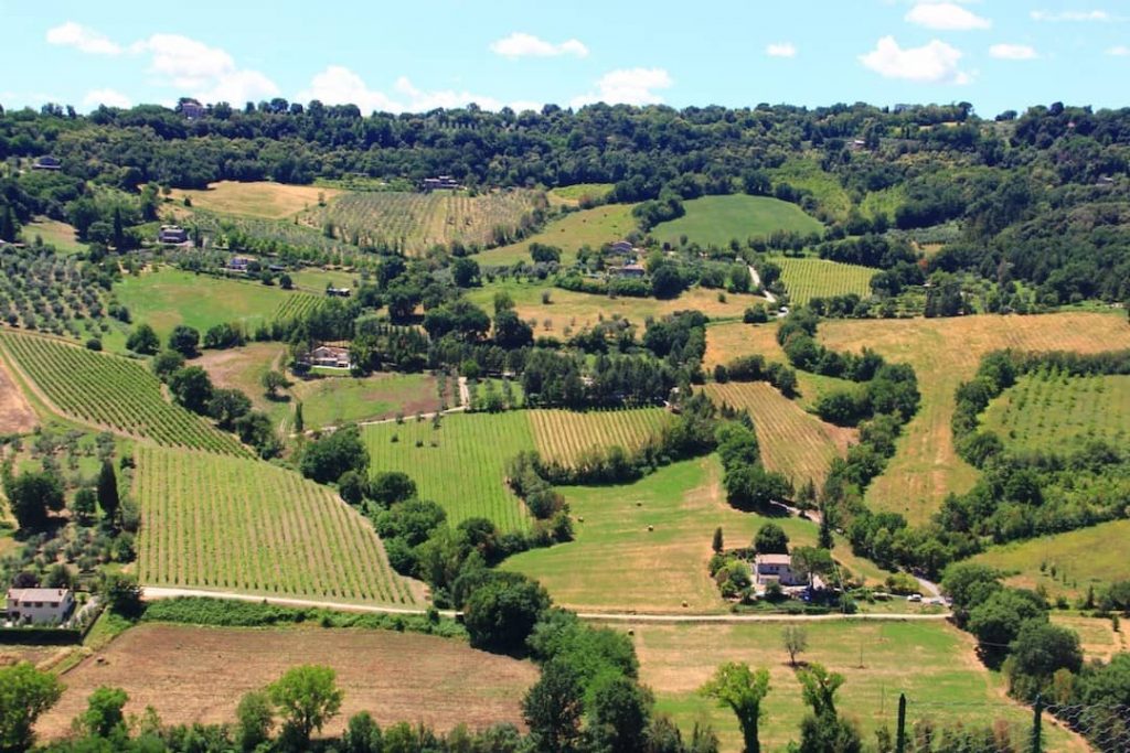 Rolling fields and stunning greenery of Orvieto, Italy