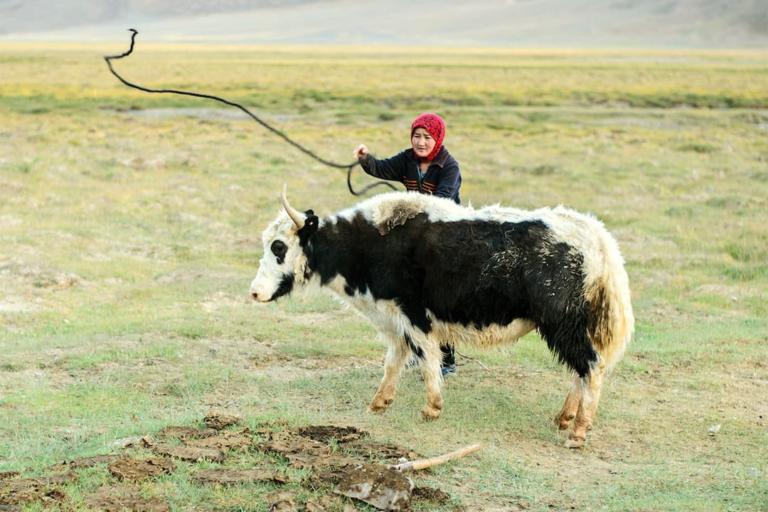 Tajikistan Trekking Tour