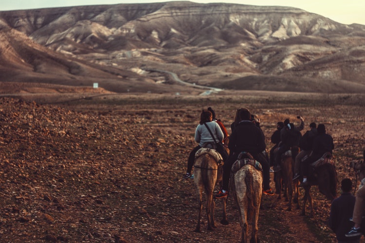 woman riding horse during daytime with a group of travellers