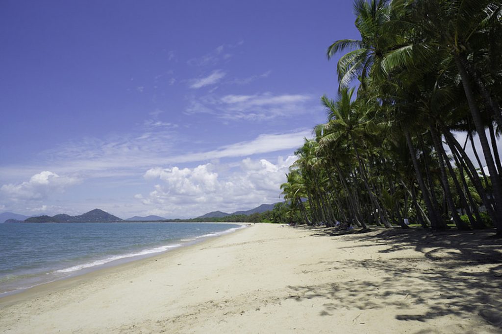 Trees lining the coast at Palm Cove Beach, Cairns