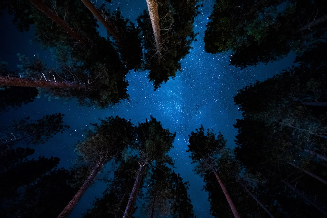 night sky - activities for couples in Yellowstone