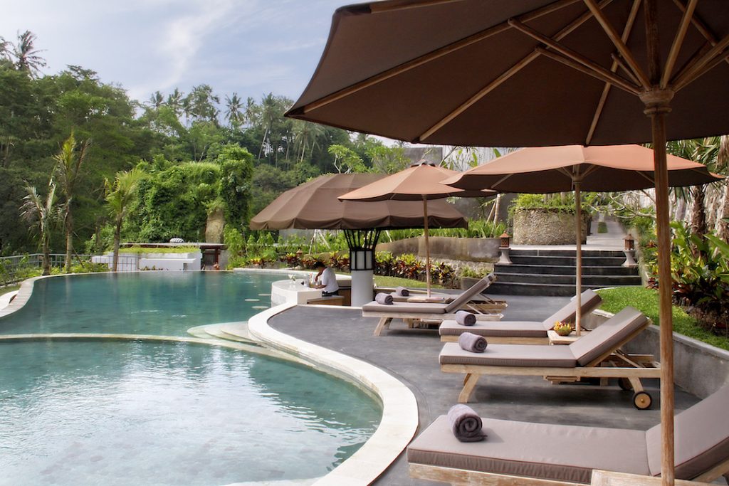 Deck chairs and green palm treats by a shimmering pool 