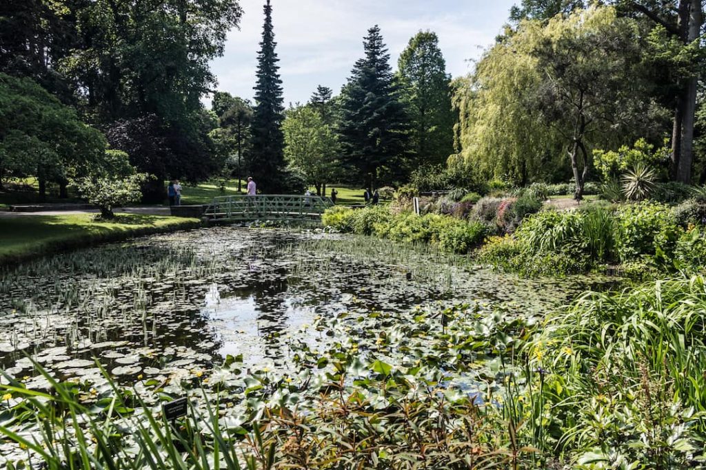 National Botanic Gardens, Dublin