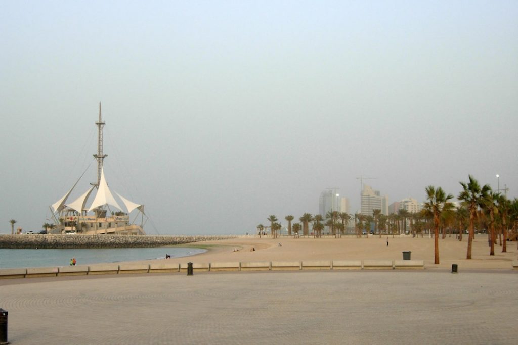 Palm trees on the sand by a beach in Kuwait