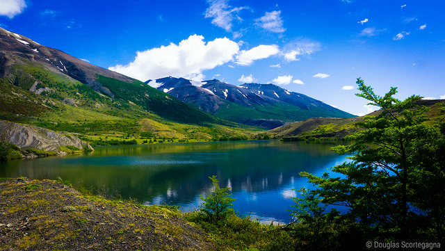 A lake in a park surrounded by mesmerising greenery and beautiful shades of green