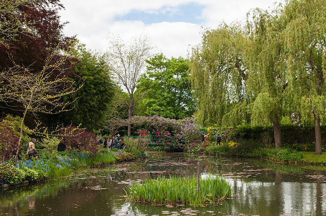 a water lily pond with a small bridge over it surrounded by trees