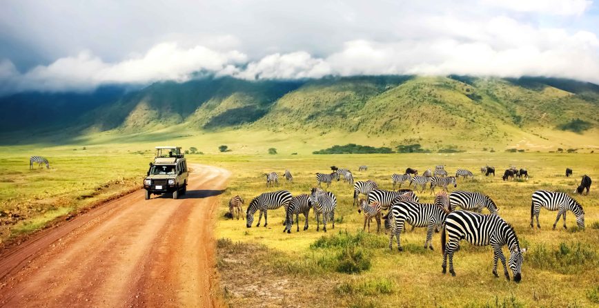 The Best Safari Destinations in the World (Updated 2024)