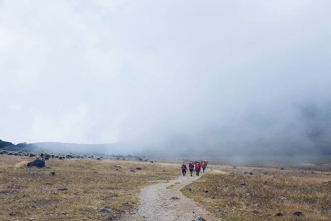 Hikers in Pangrango National Park, Indonesia