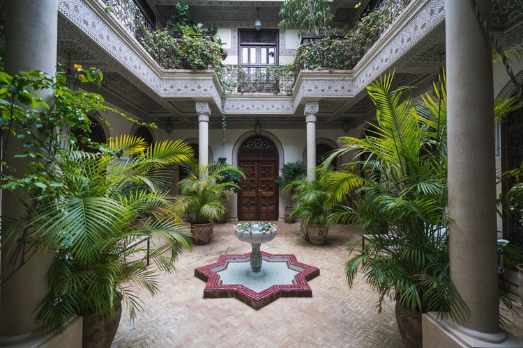 a courtyard with plants and a bird bath