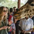 a girl is up close and personal with a giraffe