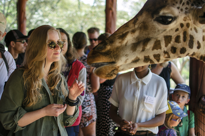 Can a Safari Take You Back to Your Childhood?