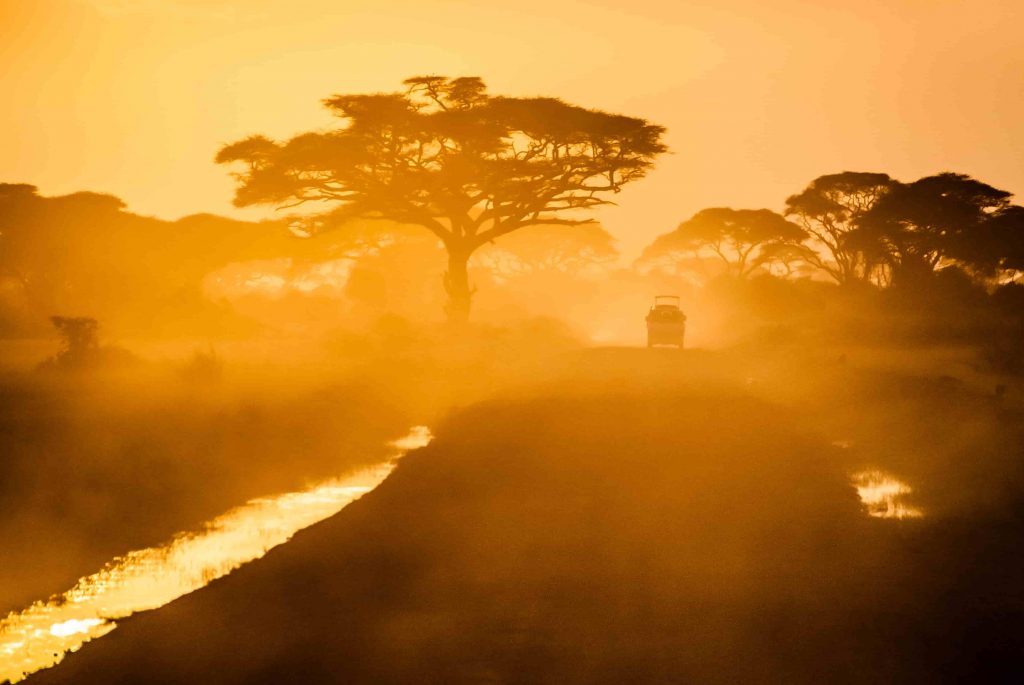 African savanna at sunset