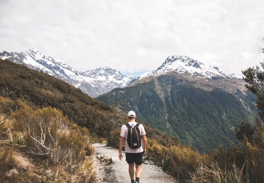 The Best Walks and Day Hikes in New Zealand