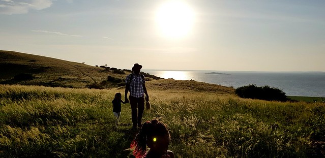 A father and daughter walking and holding hands