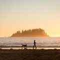 Woman walking in front of a dog along a beach in Vancouver, British Columbia