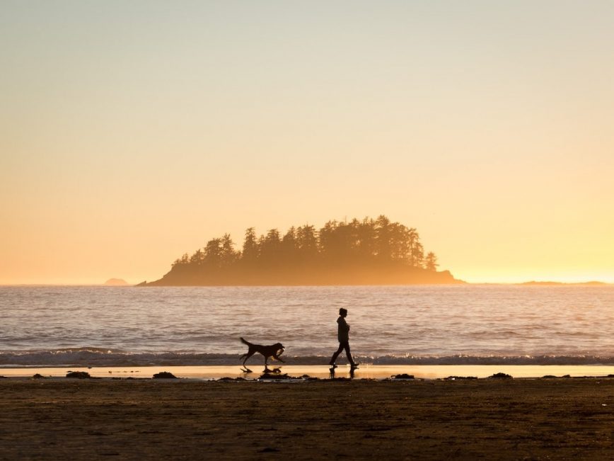 The 20 Most Pet-Friendly Beaches, Ranked