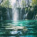 green trees and waterfalls during daytime