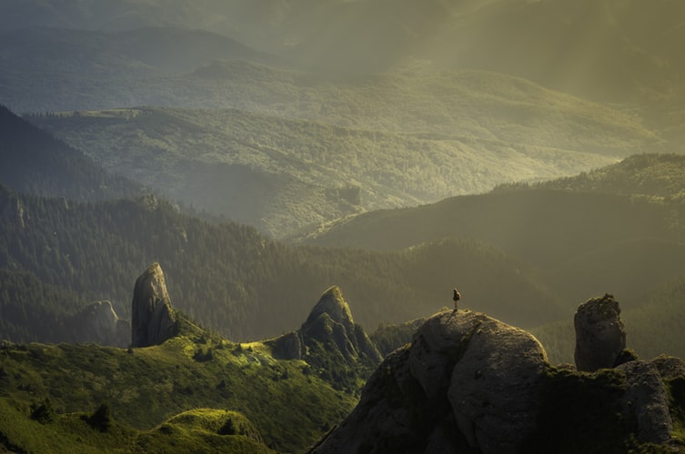 aerial view of a person standing in a lush green mountain range