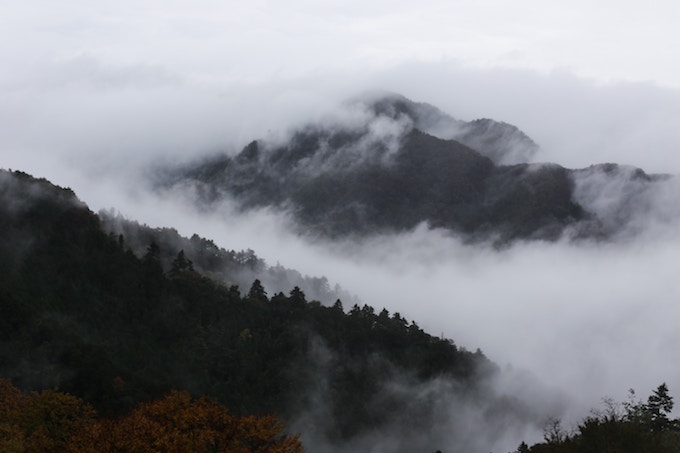 Mt. Takao on a foggy day, Japan