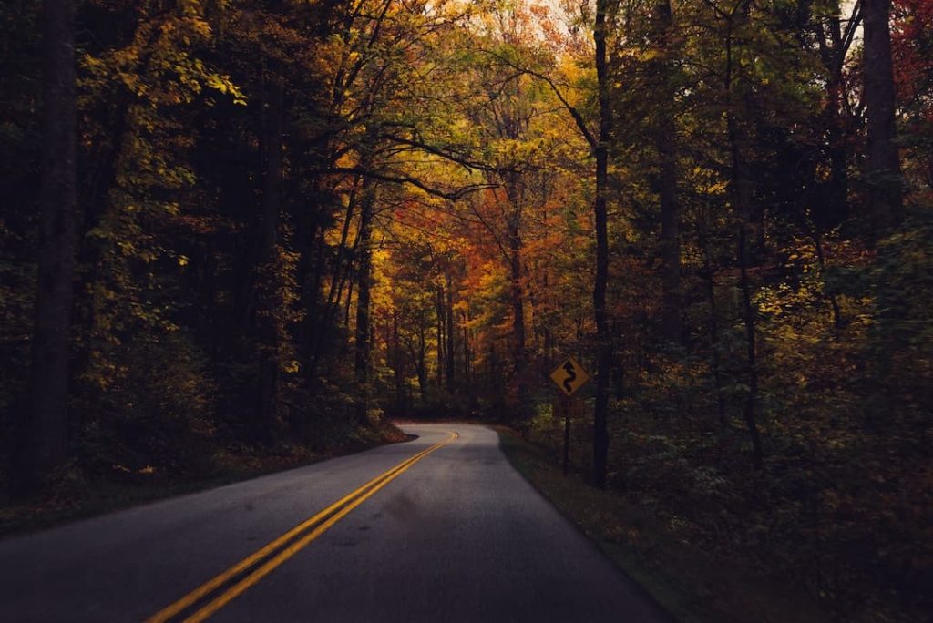 A road surrounded by fall foliage in Great Smoky Mountains National Park, USA