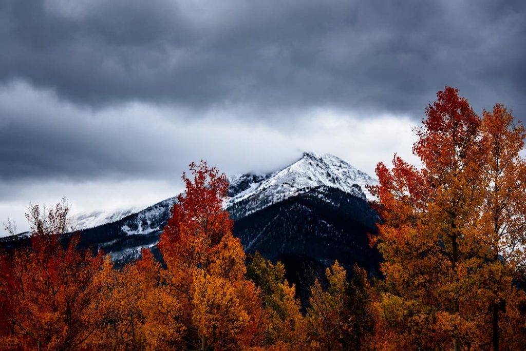 Fall foliage and a mountain peak in Aspen, Colorado