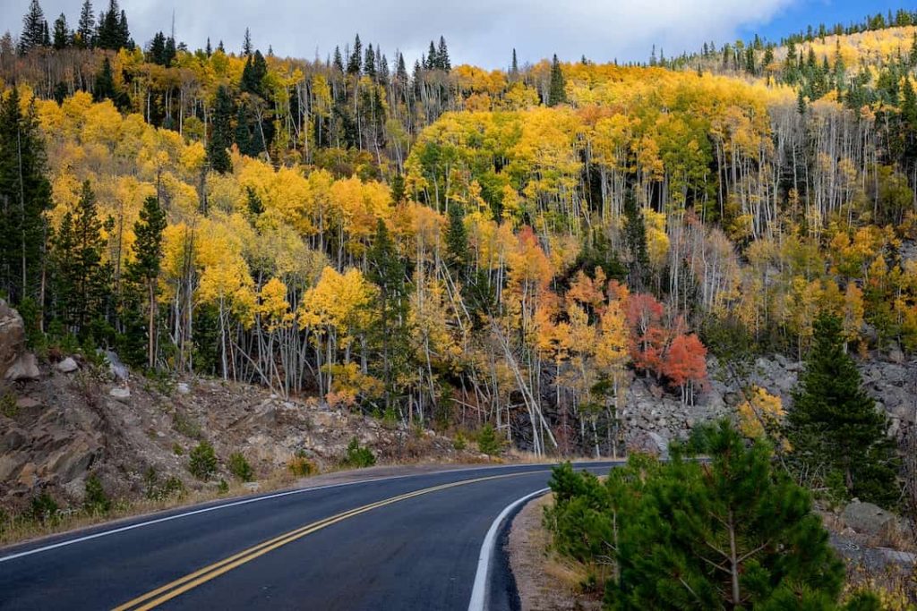 Trees with yellow and orange leaves beside a road in Rocky Mountain National Park, USA