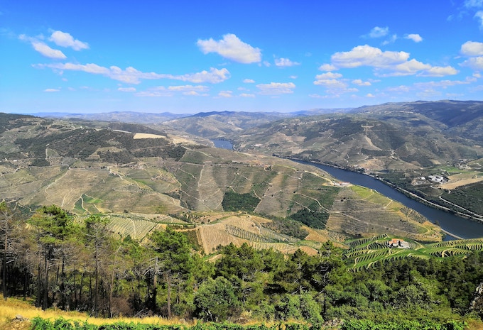 Douro River Valley, Portugal