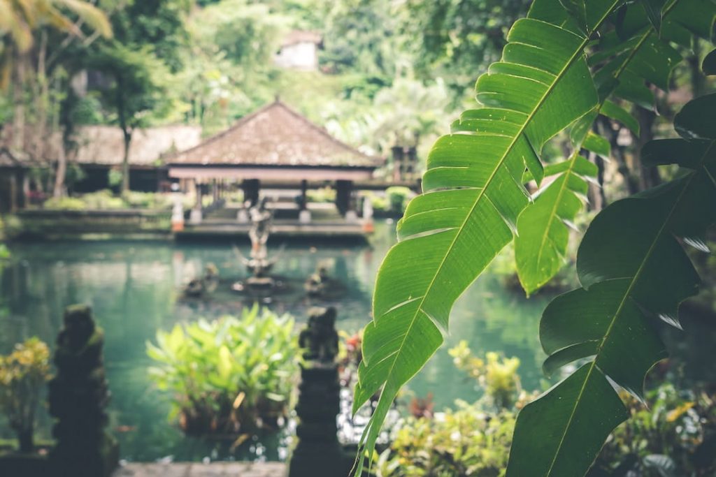 Villa in Bali surrounded by water and lush jungle